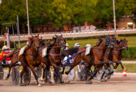 Ippodromo Arcoveggio Bologna: presentazione delle corse di sabato 14 maggio