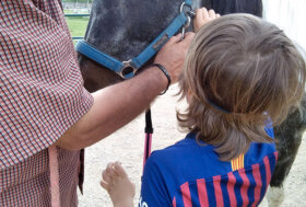 FISE e Fieracavalli insieme a Pratoni per la campagna di crowdfunding “un cavallo per amico”