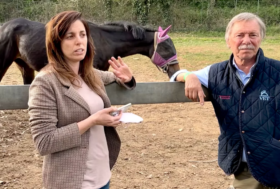 Sfrutta il buono sconto del 20% e migliora il tuo sapere per il benessere del tuo cavallo