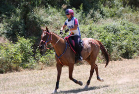 Capolavoro di Costanza Laliscia e Perseverancia Escondido a Città della Pieve