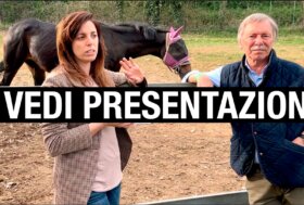 Sconto 50% sui Corsi online del Portale. 🎓 Approfitta dell’offerta lancio