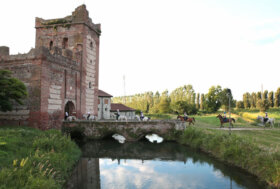 Sport equestri, Veronafiere-Fieracavalli organizza il Mondiale Endurance 2022