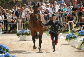 FEI World Championships 2022 Eventing and Driving