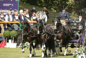 FEI World Championships 2022 Eventing and Driving