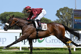 Estrosa vince la sua prima corsa: il proprietario Allegri esulta da Parigi