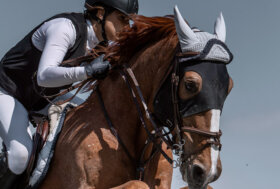 Gran finale di Cavalli in Villa tra economia, suntman e i giganti cavalli agricoli