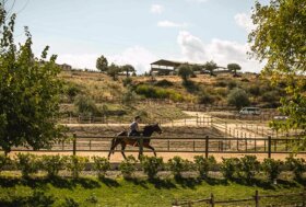 Coppa degli Assi 2022: buona la prima, ora si replica con il secondo weekend