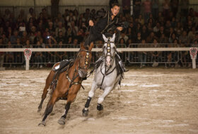 Due serate da sogno con il gala equestre della Mostra del Cavallo