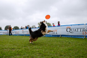 Tanto sport con il cane per festeggiare 10 anni di Quattrozampeinfiera a Milano