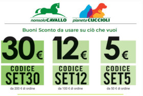 Buoni Sconto fino a 30 € per i tuoi Acquisti! Approfittane!