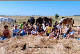 Info eventi Aquila Nera: camminata insieme ai cavalli!