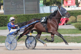 Arcoveggio Bologna: presentazione delle corse di domenica 9 ottobre 2022