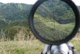 Governo: Fauna, bracconaggio e rinnovabili, le richieste di Enpa al Ministro Pichetto Fratin. Bene il “ritorno” del ministero dell’Ambiente.