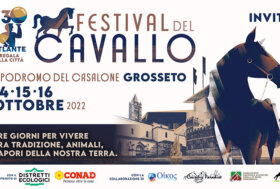 Festival del Cavallo: Ippodromo del Casalone Grosseto 14-15-16 ottobre 2022