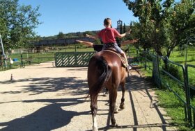 FIERACAVALLI: Sostenibilità e ostenibilità inclusione al centro della 124ª edizione.