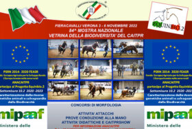 I CAITPR in bella mostra a Fieracavalli, concorsi, show, biodiversità e Libro Genealogico