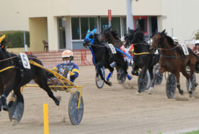 Arcoveggio: presentazione delle corse di domenica 30 ottobre