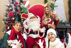 Il 27 novembre al villaggio delle meraviglie – Milano Christmas Village – ospiti gli amici animali