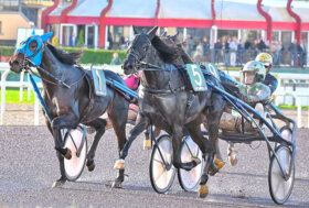 Ippodromo Capannelle: Ebano d’Arc vince il Gran Premio Anact tra i maschi, Ete Jet a sorpresa tra le femmine