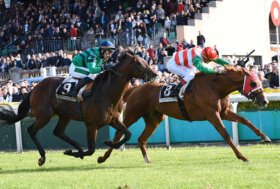 Domenica 13 novembre galoppo all’ippodromo Capannelle