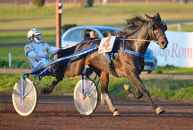 Weekend ricco a Capannelle – Sabato 19 novembre il Gran Premio Anact di trotto, domenica 20 il Roma Vecchia di galoppo