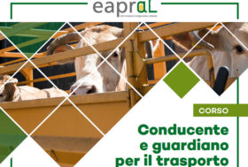 Corso di formazione per conducente e guardiano per il trasporto di animali vivi