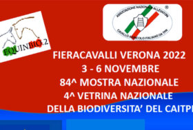 A.I.A. e Sistema allevatoriale alla 124a “Fieracavalli” di Verona: insieme per la biodiversità equina