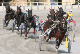 Ippodromo di Bologna: giovedì 5 dicembre con Tris-Quarté-Quinté