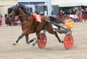 Arcoveggio: presentazione delle corse di giovedì 24 novembre