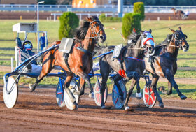 Ippodromo Capannelle: corse al trotto 11 febbraio