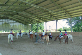 Azienda in Primo Piano: San Martino Circolo Ippico