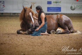 ANACAITPR: un grande 2022 per i nostri Giganti Buoni