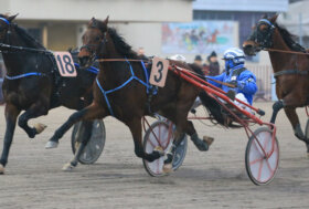 Arcoveggio: presentazione delle corse di domenica 1 gennaio