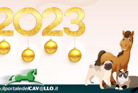 Buon 2023! Che questo nuovo anno lasci posto solo a tanta salute e felicità!