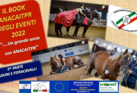 Il book ANACAITPR degli eventi 2022, 2° parte raduni e fieracavalli