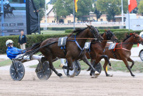 Ippodromo Arcoveggio Bologna: resoconto corse di giovedì 15 dicembre