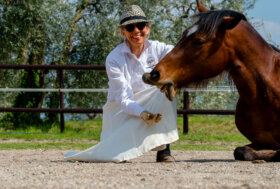 San Valentino, regala la “Horse Love Box”. La coppia è in sintonia? Risponde il cavallo