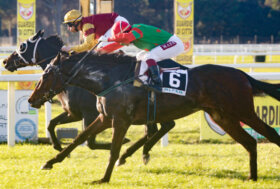 Le corse a San Rossore Domenica 8 Gennaio 2023