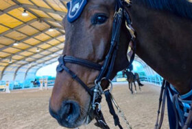 FISE Lazio: Horses Riviera Resort A5* 18-20/01/23