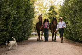 Buttero Zone, a cavallo alla ricerca del tartufo. E nasce la Buttero School