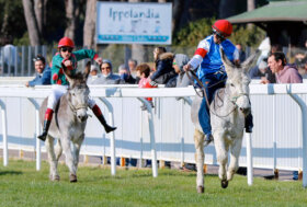 A San Rossore Prima giornata di GRAN PREMI del 2023 e in più il GRAN PREMIO DI SOMAROPOLI, una corsa giocosa protagonisti sei asinelli