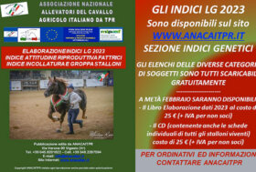 ANACAITPR: Elaborazione indici LG 2023