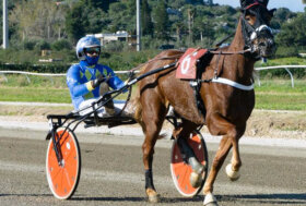 Ippodromo Mediterraneo: Il 2023 apre a Siracusa in sulky
