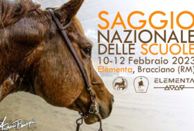 Saggio Nazionale delle Scuole FISE 2023