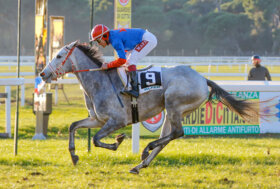 Le corse a San Rossore: giovedì 26 gennaio 2023