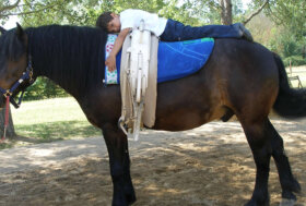 Volteggio ludico equestre: al via il nuovo regolamento Fise