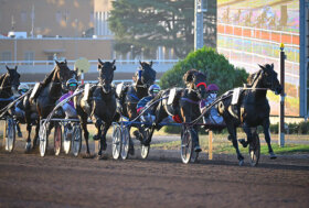 Ippodromo Capannelle: corse al trotto 4 febbraio