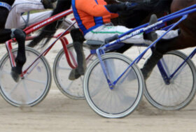 Giovedì all’Ippodromo Snai La Maura primo appuntamento con le corse nel mese di febbraio