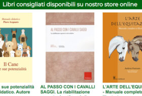 Libri consigliati equitazione e non solo. Vuoi scoprire come pubblicizzare la tua attività GRATIS sul Portale? E’ semplice!