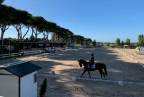 Quadro Sinottico manifestazioni Dressage 2023
